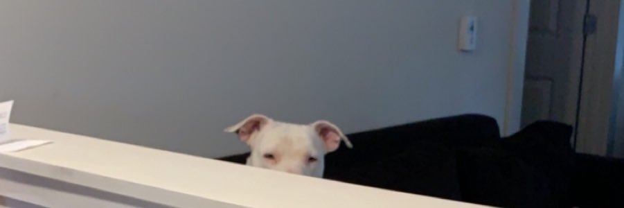 ryleerebman's profile banner image