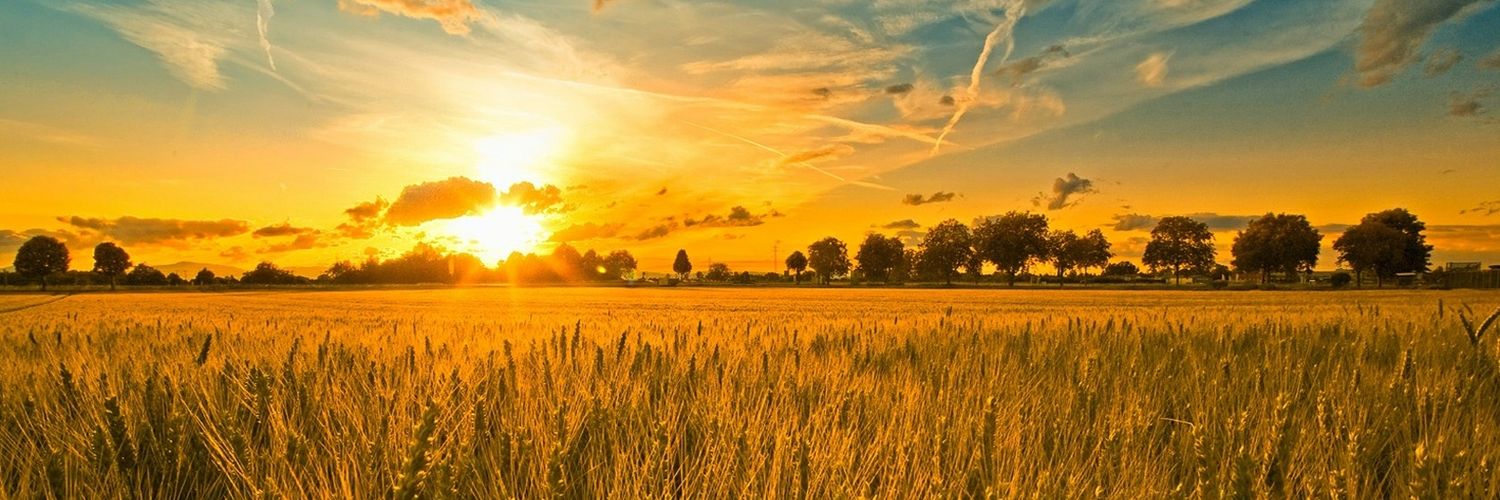 👈 UltraMAGAcrowd! 1/20/25 America is SO BACK! banner