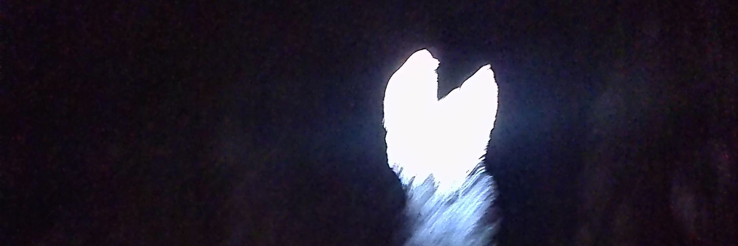 Jonathan Reyes banner