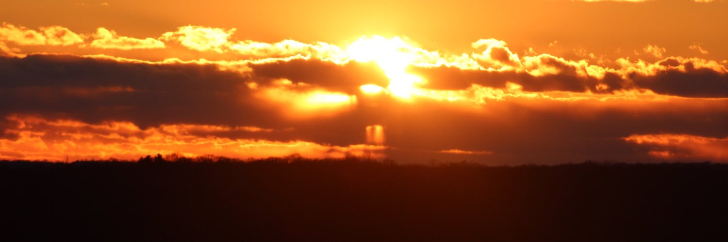 SneidsBro's profile banner image