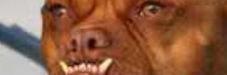pgetbread's profile banner image