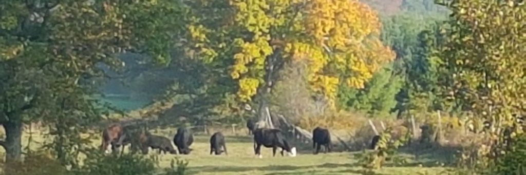 Cedarstone Acres 🇨🇦🍁🇨🇦 banner