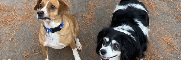 JessicaGeddesMD Profile Banner