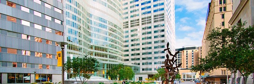 Armin Garmany banner