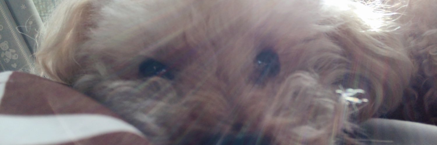 majicmorment's profile banner image