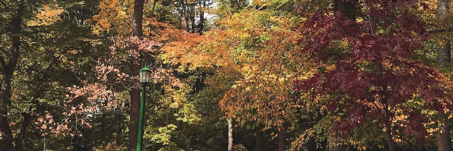 Megan Merrick banner