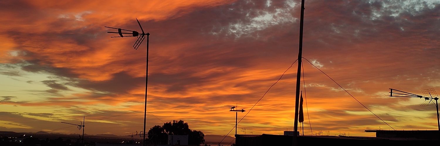 Beatriz banner