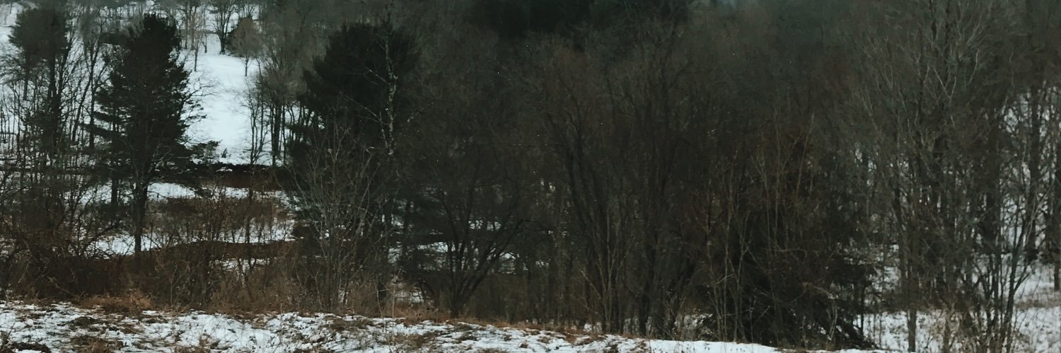stephaayex's profile banner image