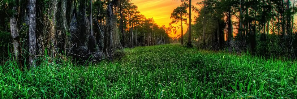 GSDSDTK's profile banner image