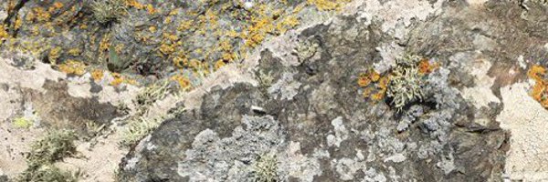 jake_puddle Profile Banner