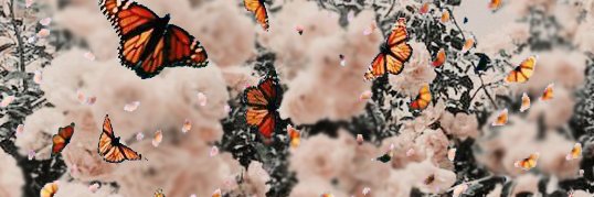 beckyy 🍒 banner