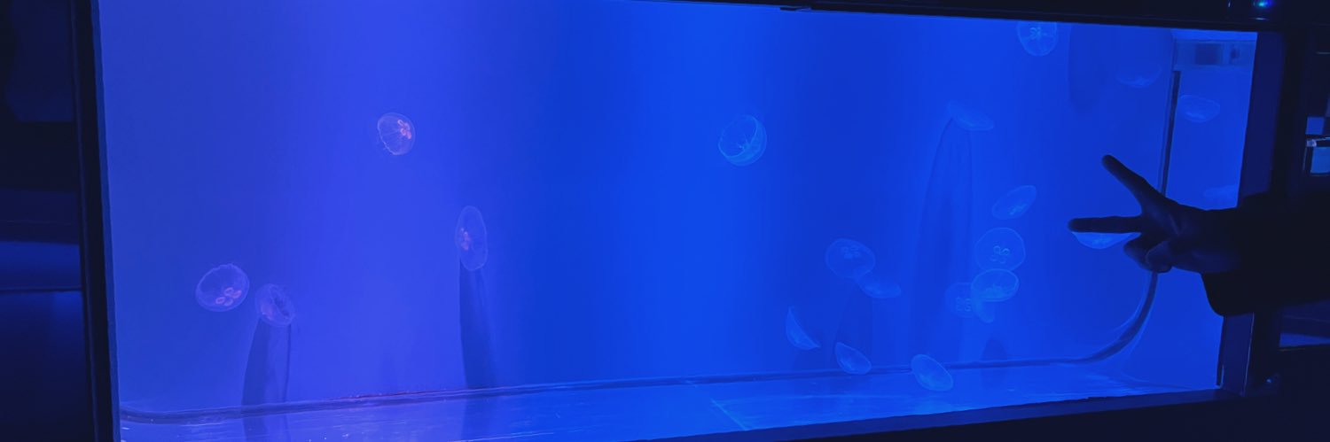 aitaro18's profile banner image