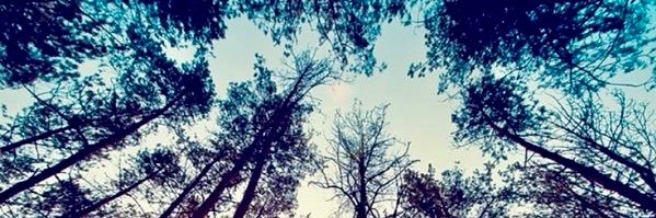 stevenjculbert's profile banner image
