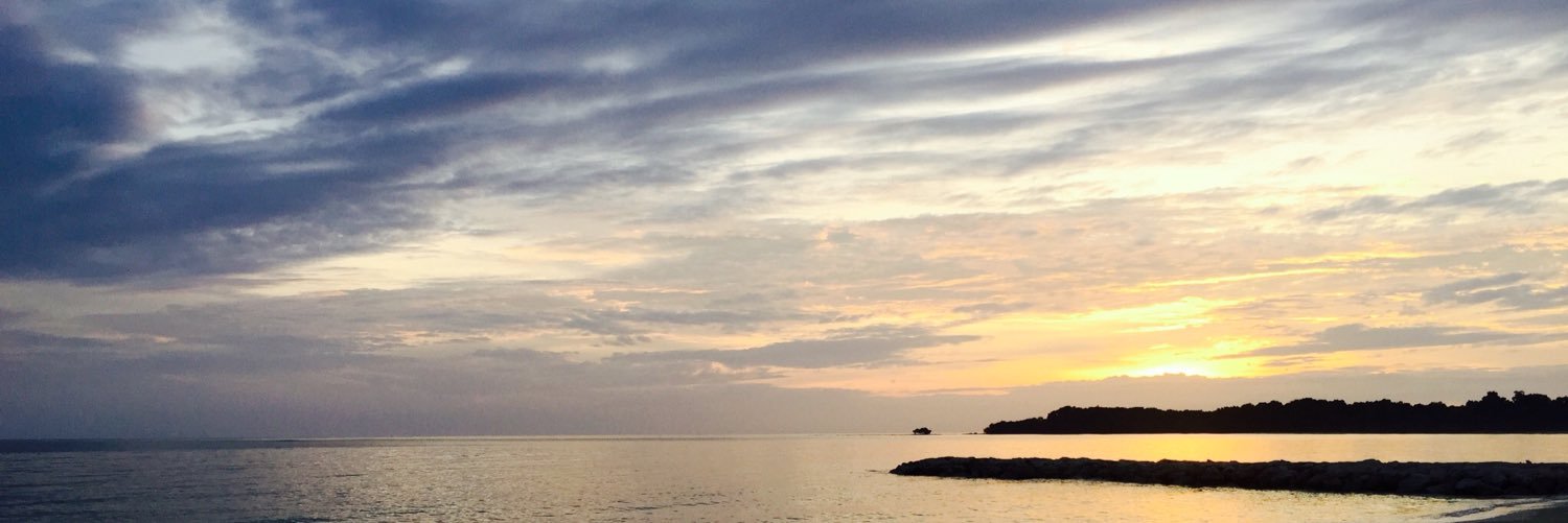 jvine863's profile banner image