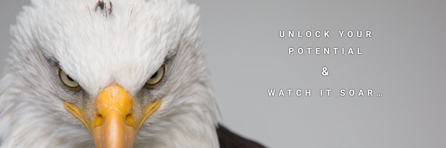 Key & Eagle Digital Media banner