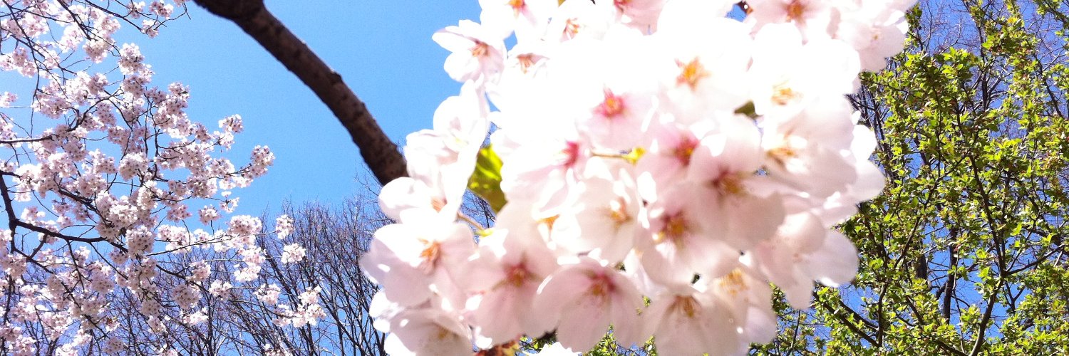 LisaRayCol's profile banner image