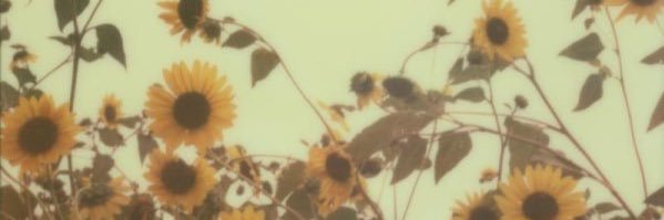 olyviahietpas's profile banner image
