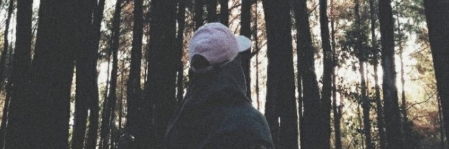 rashikadn's profile banner image