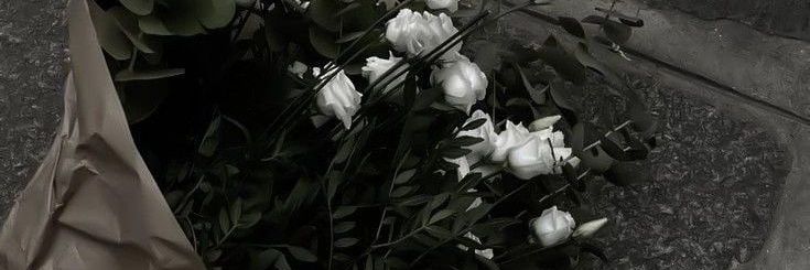 𝑪𝒓𝒐𝒔𝒙✞︎ | banner