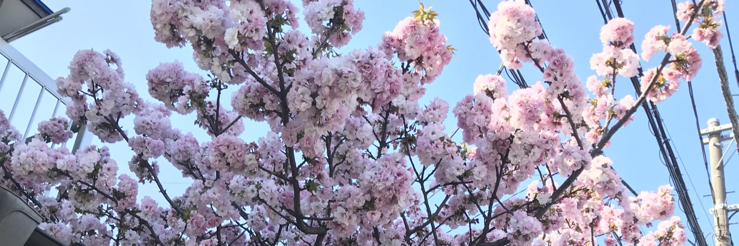 Kiplangat Kerich C. 🇰🇪 🇯🇵 banner