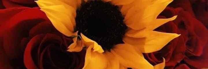 ✨🌻Sunflower Girl🌻✨ banner
