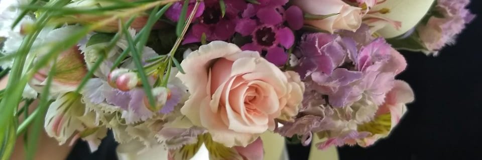 monchelaat's profile banner image