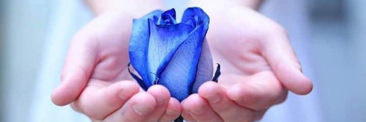 Safaa_99___'s profile banner image