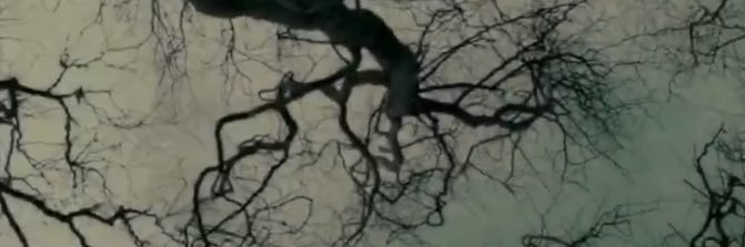 alistraws's profile banner image