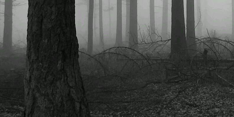 ReiseGray's profile banner image