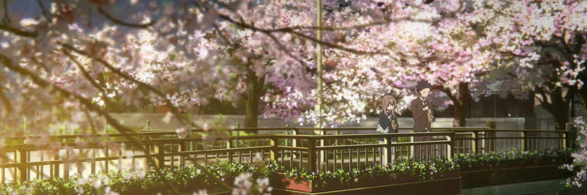 AlexCC2801's profile banner image