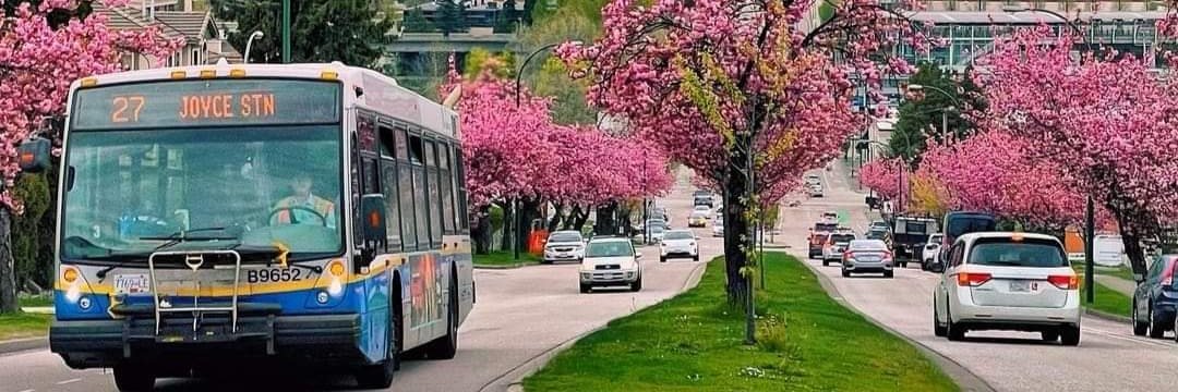 Omo Ologo 🇳🇬🇨🇦 banner