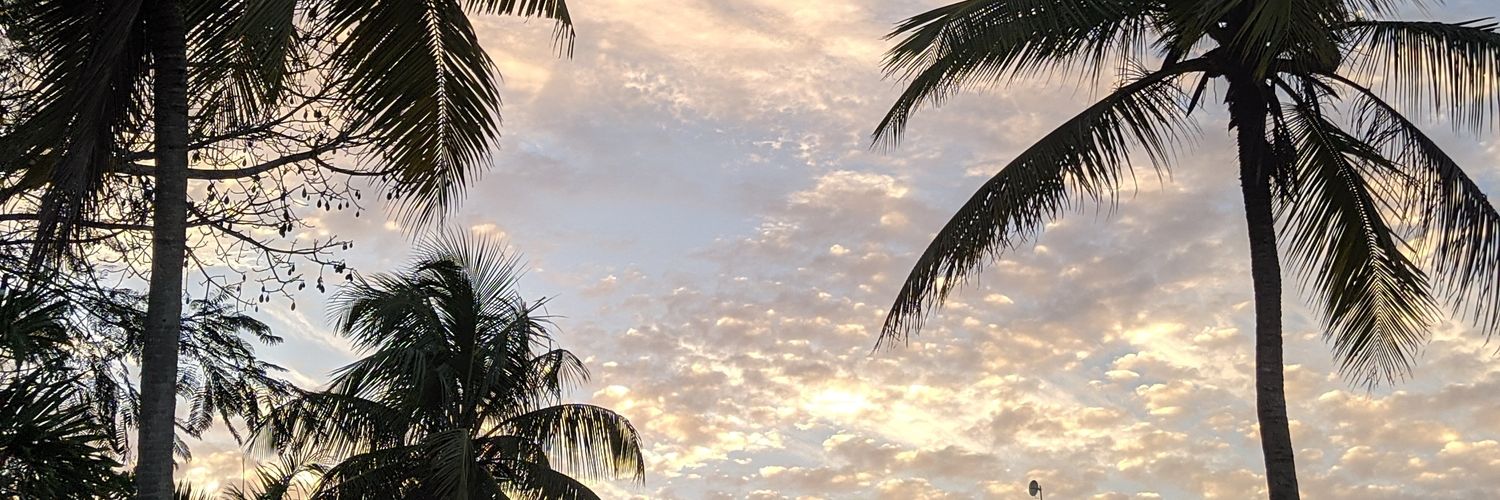 MisXicum's profile banner image