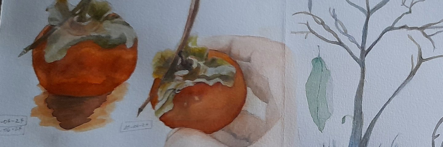 Marisol Montero 🌞 banner