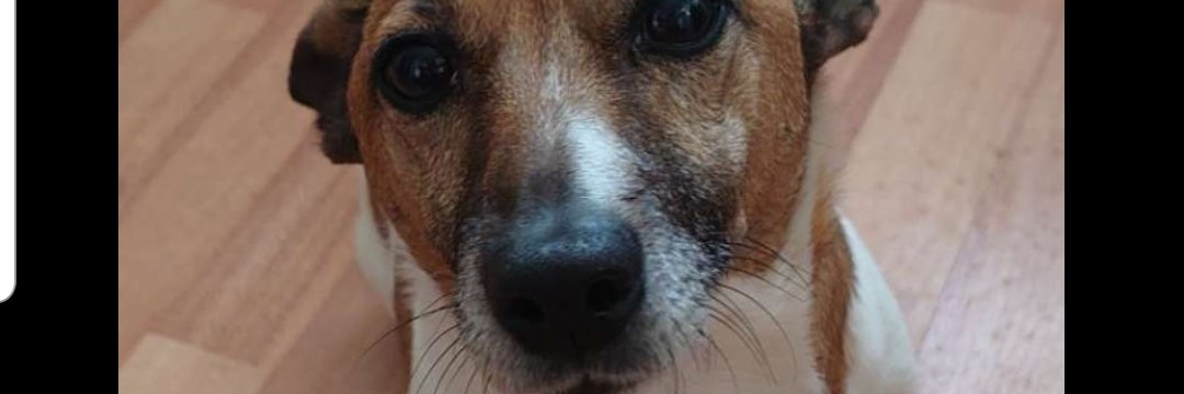MacColumbo's profile banner image