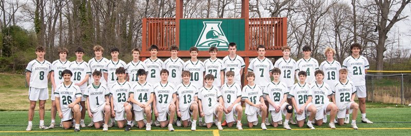 AuksLacrosse banner