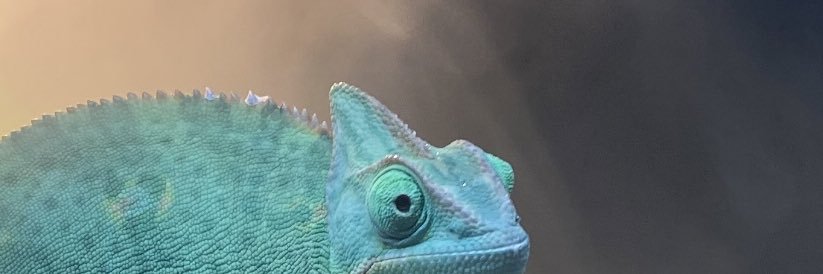 Matthew_Sams's profile banner image