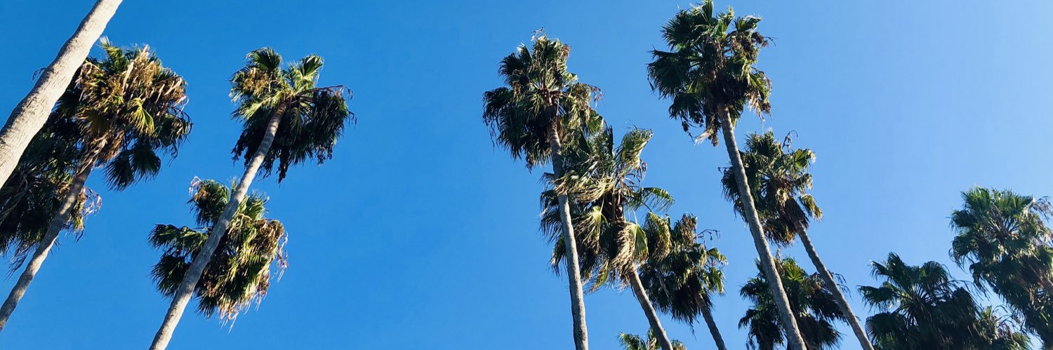 Amanda Gooding, PhD, ABPP banner
