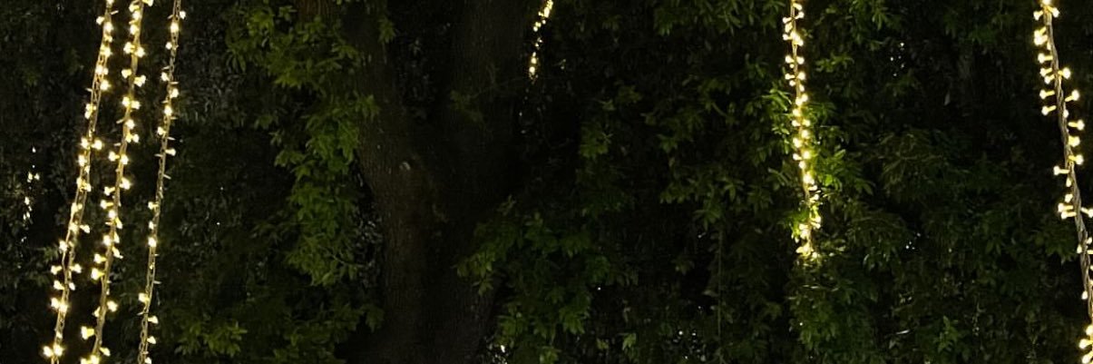 faerymac's profile banner image