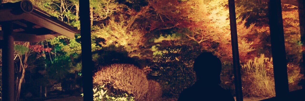 lipton_mil's profile banner image