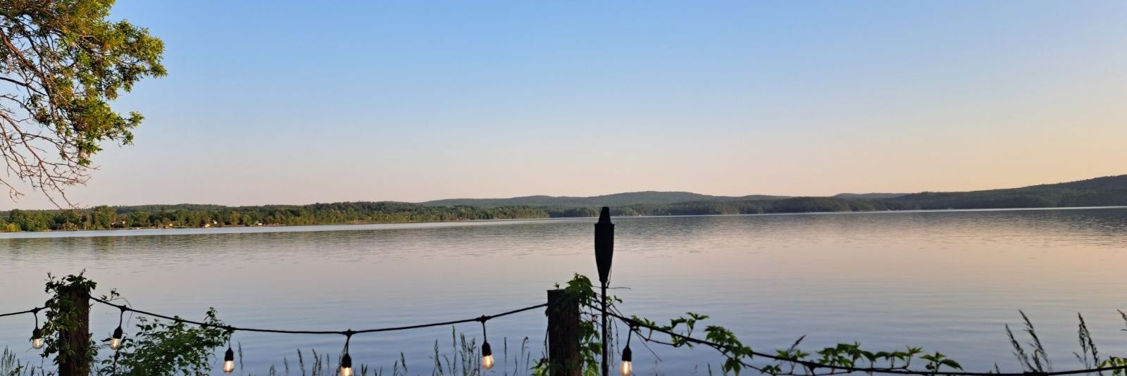 David Sims-🇨🇦 banner