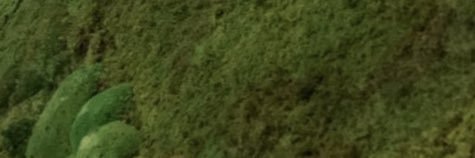 papabelt's profile banner image