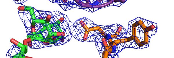 LabFera Profile Banner