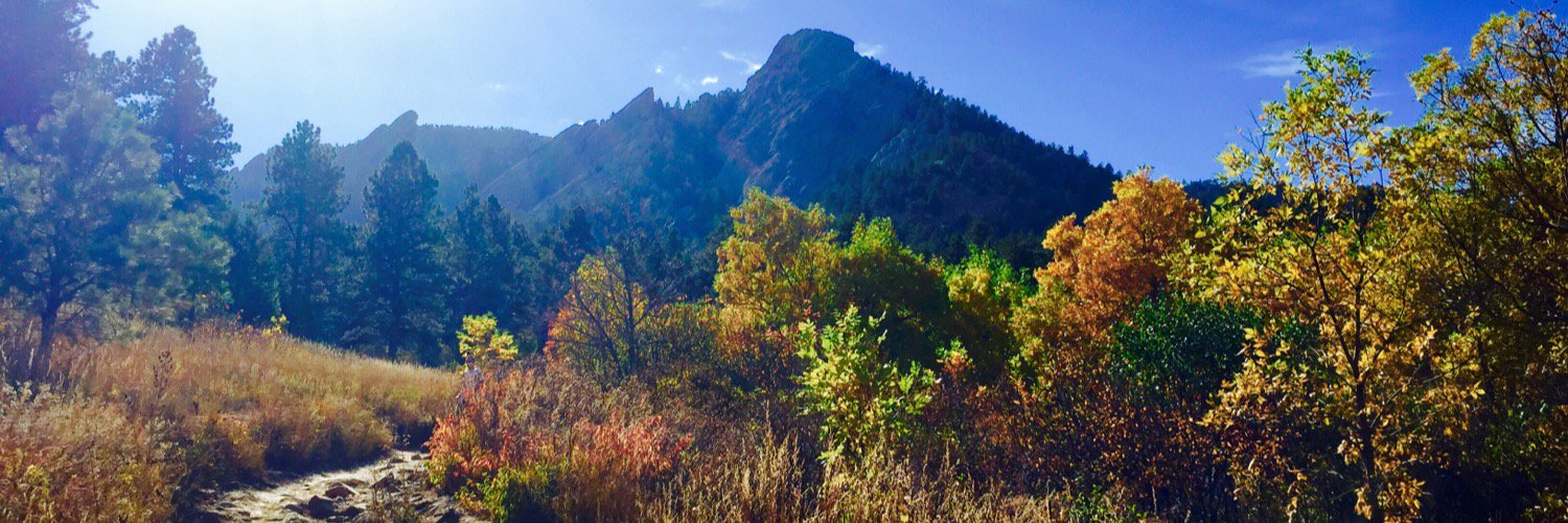 ✨Alex Vieth✨ banner