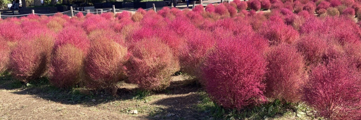 🍀⚾️🩵在我的人生裡添加了幸運💙🫶 banner