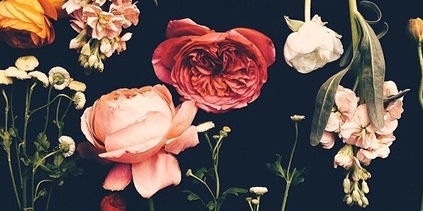 AnitaMarieee's profile banner image
