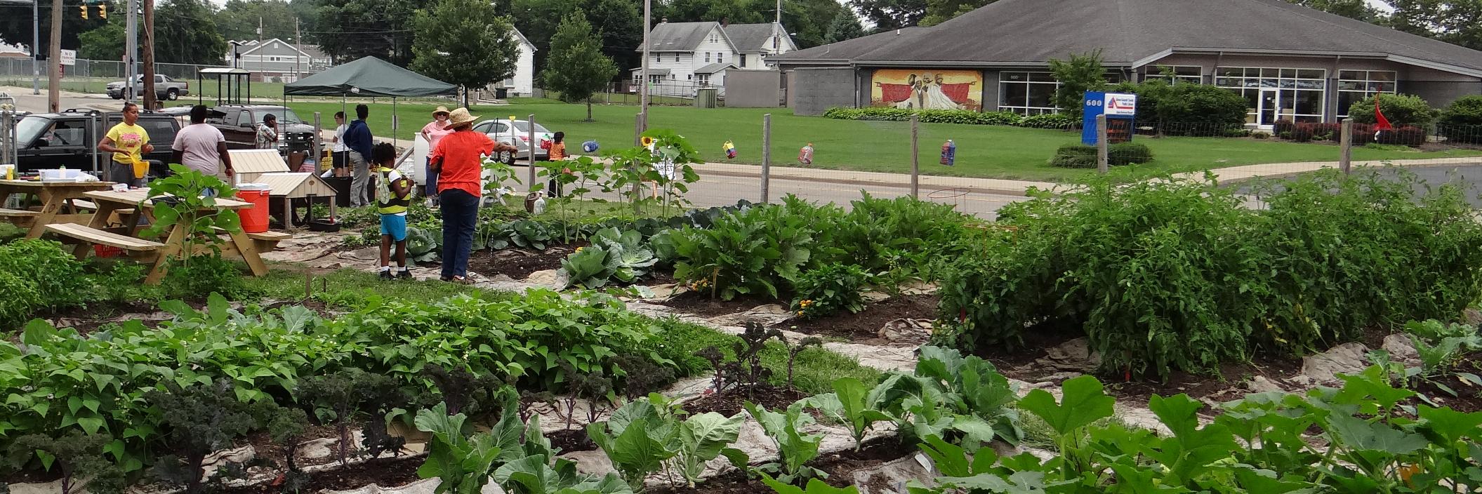 letsgrowakron's profile banner image