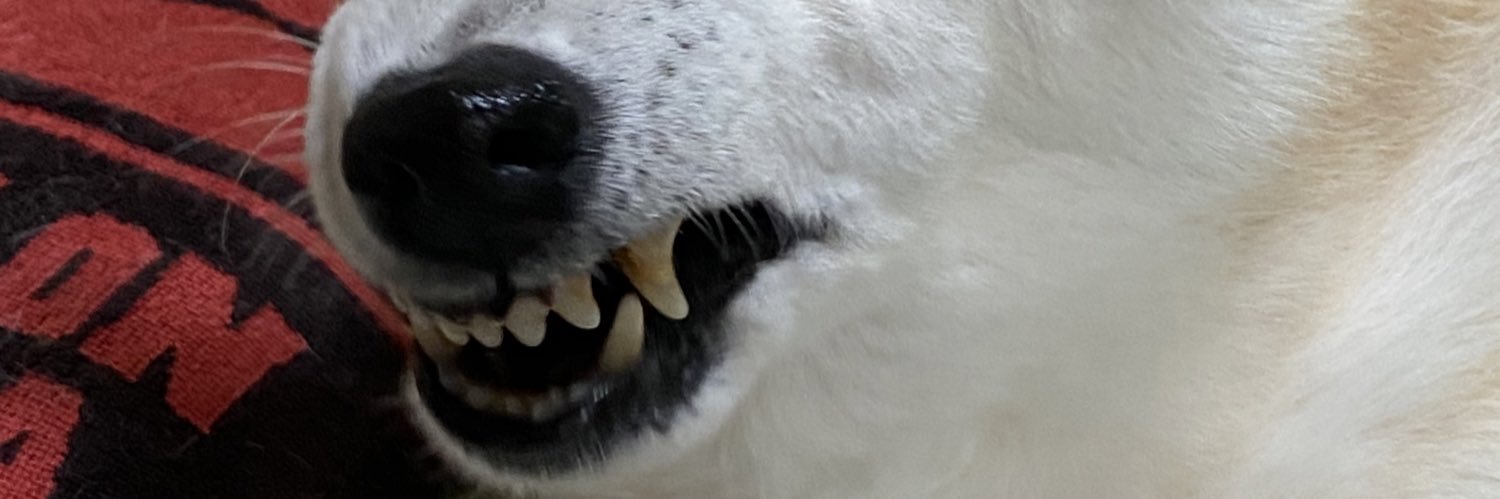 Temple_max's profile banner image