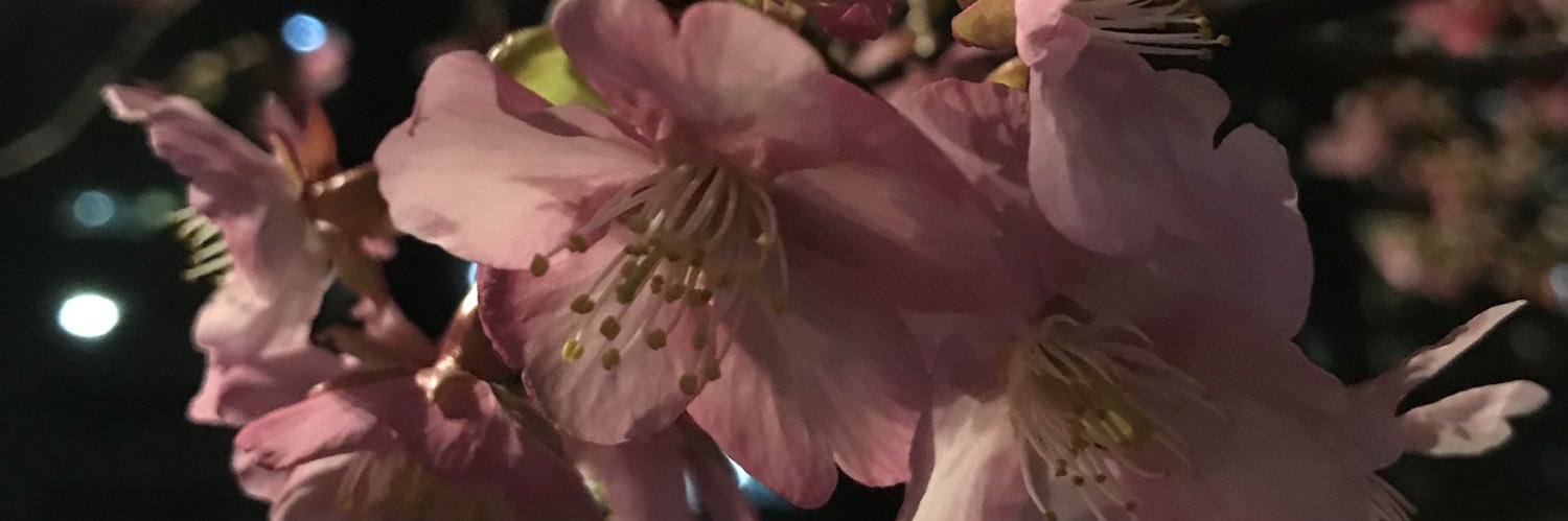 ke_koike's profile banner image