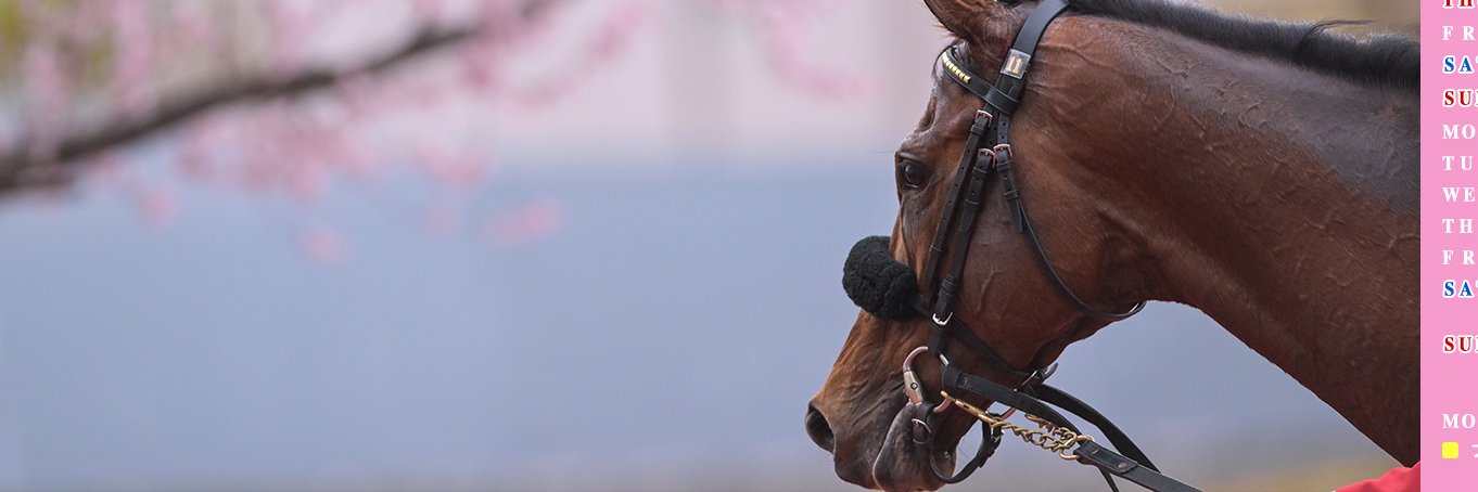 EightPrelude's profile banner image