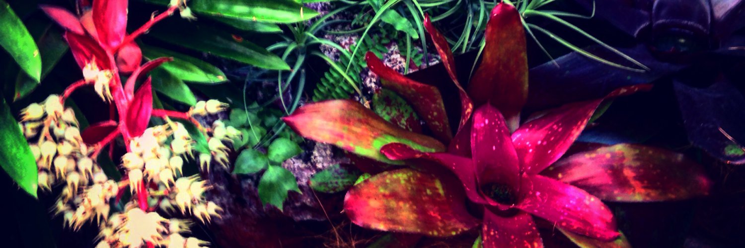 N_Buk0's profile banner image